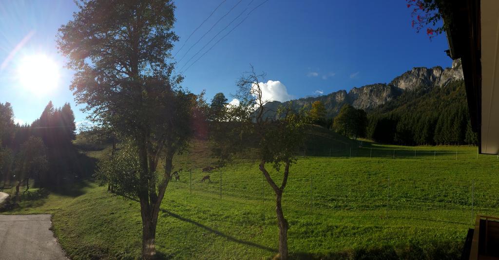 Berghof Haselsberger Hotel Sankt Johann in Tirol Luaran gambar