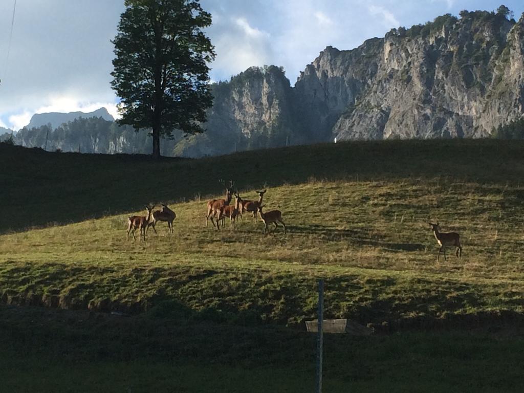 Berghof Haselsberger Hotel Sankt Johann in Tirol Luaran gambar