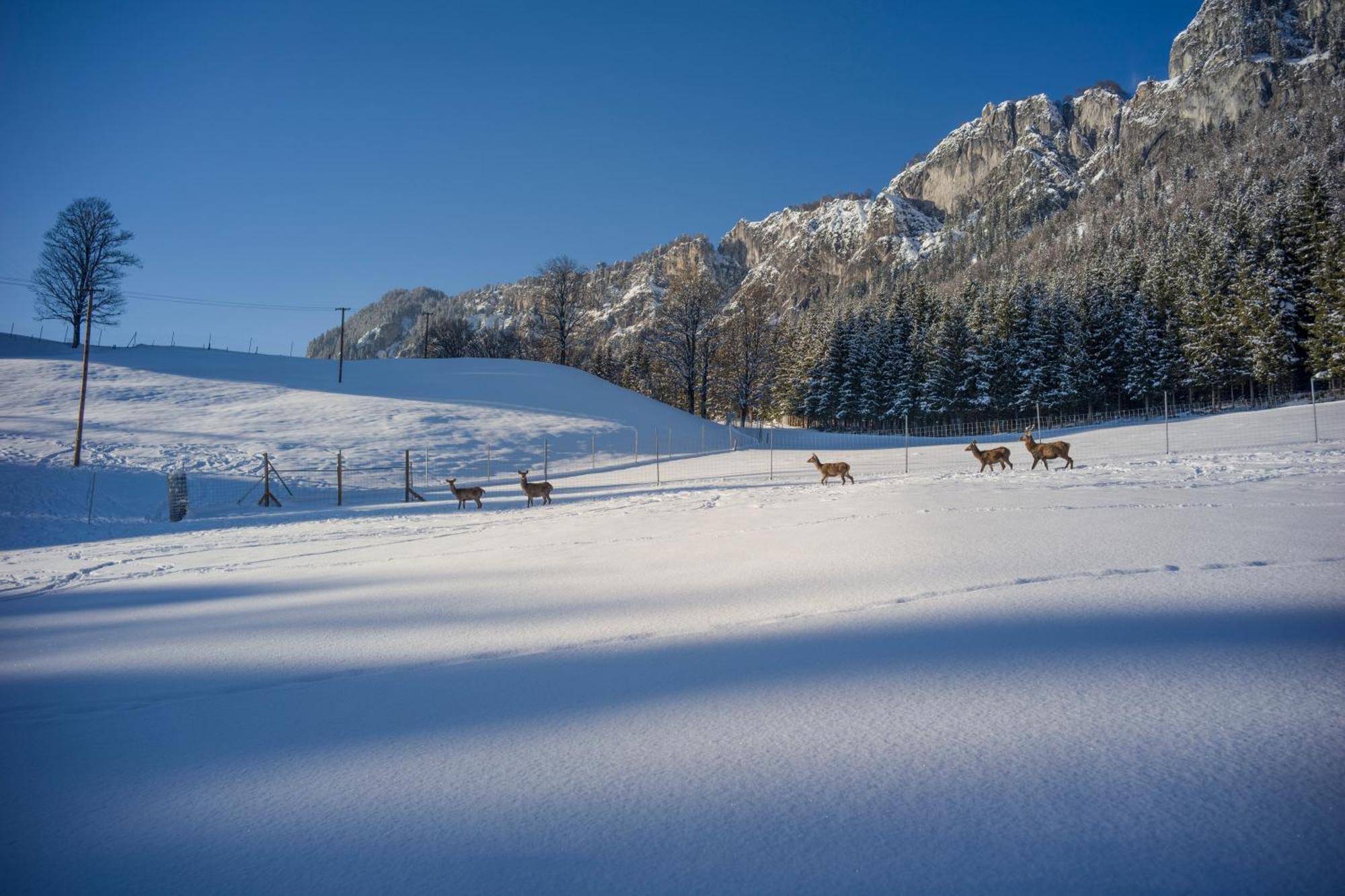 Berghof Haselsberger Hotel Sankt Johann in Tirol Luaran gambar