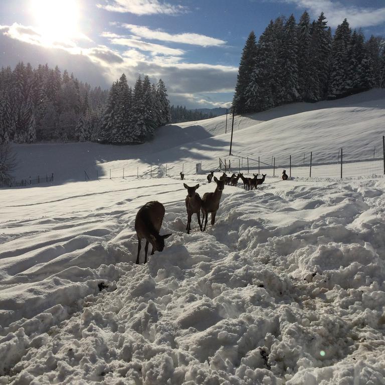 Berghof Haselsberger Hotel Sankt Johann in Tirol Luaran gambar