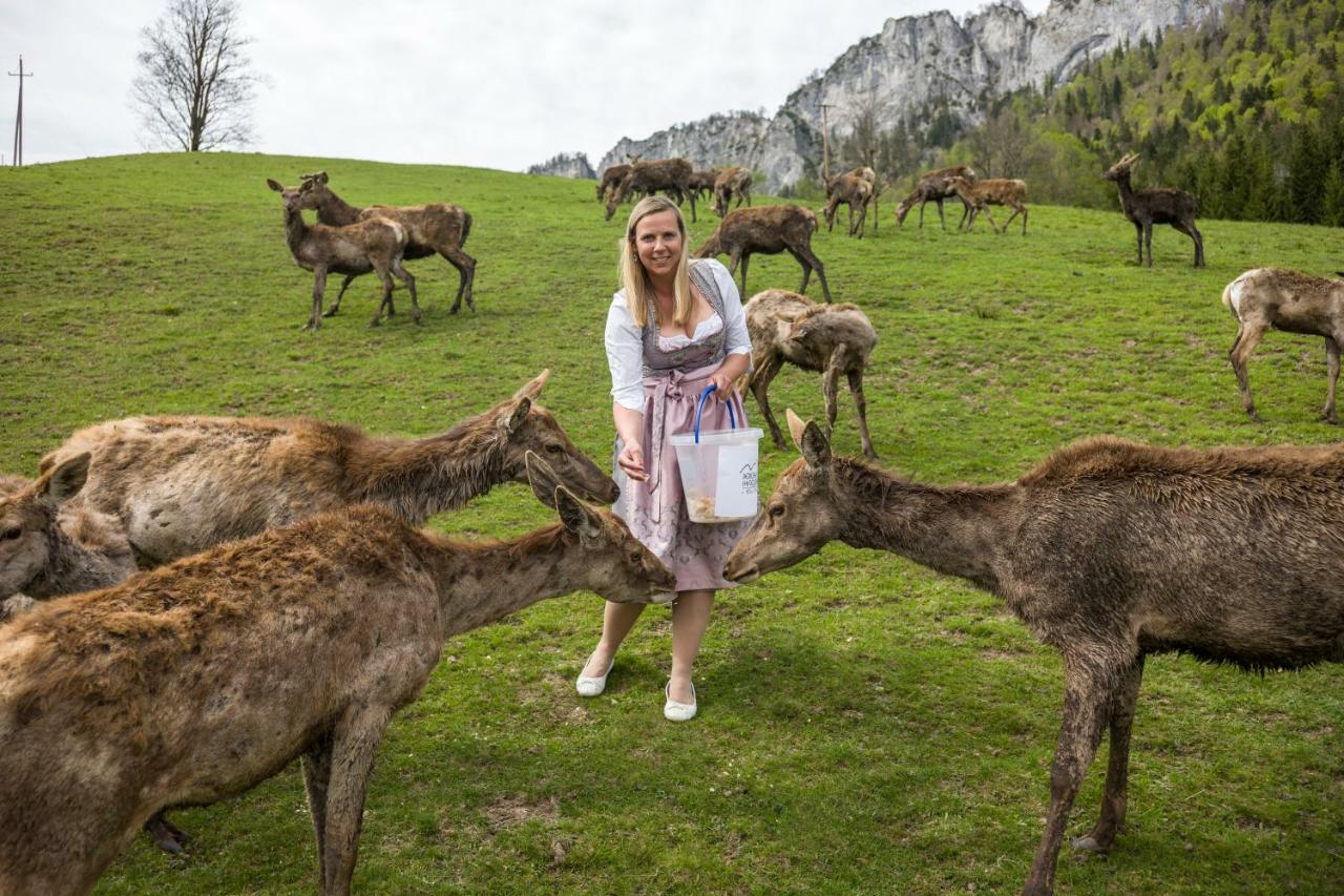 Berghof Haselsberger Hotel Sankt Johann in Tirol Luaran gambar
